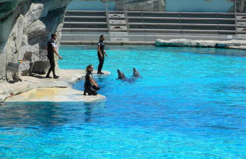 Residence Veliero - Foto 18