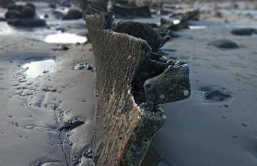 Premium Caravan - Sleeps 6 - Parking - Pool - Foto 6