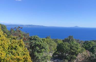 Bonvivan House - Photo 74