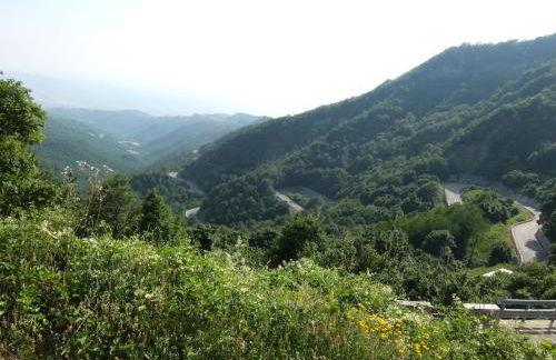 restored water mill with rockpools and waterfall - Foto 46