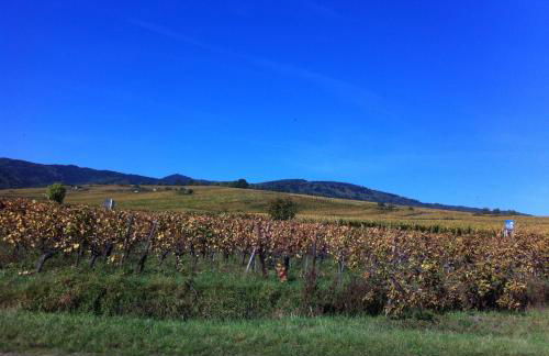 Apartment Cali Elina - Foto 25