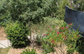 Whiskey on the Hill - Foto 56