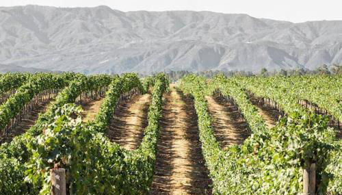 The Blue Cove - Foto 3