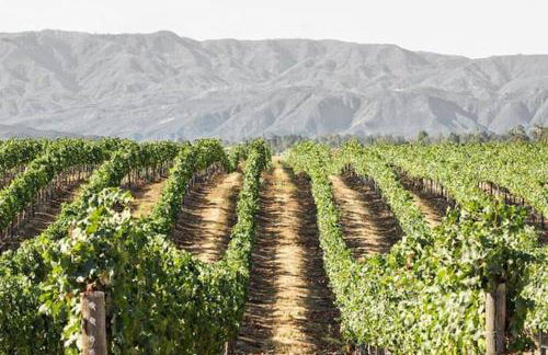 The Blue Cove - Foto 3