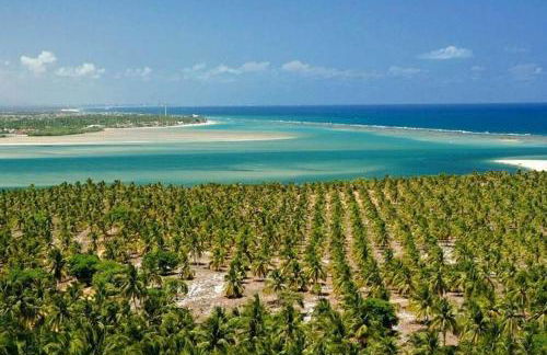 Alu Azul 1 - Foto 28