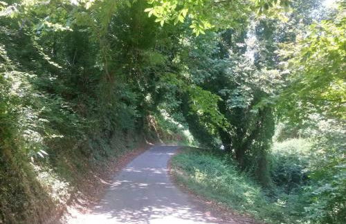 Xrysanthi's dream house - Foto 44