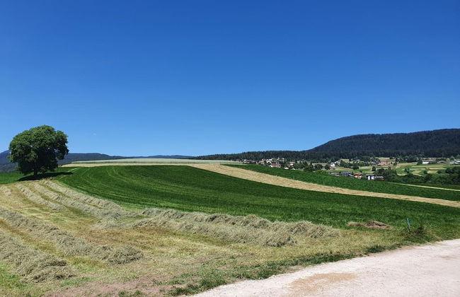 Agritur Belsogno B&B - Foto 47