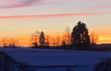 Familienferienhof Berger - Foto 14