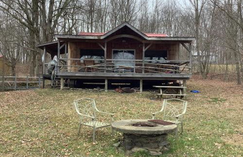 Willow Point Cabin Brenchly Lake - Photo 1