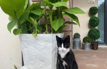 Le Gîte de Brigitte ! - Foto 8