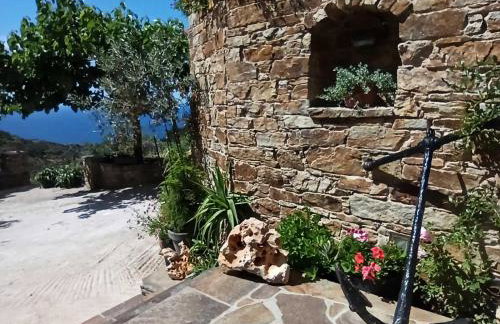 House in Εndless green - Arethousa, Ikaria - Photo 32