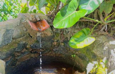 Hotel Fazenda Rancho Mineiro - Foto 39