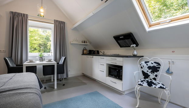 Apartment in Kamperland - Foto 4, Cocina privada