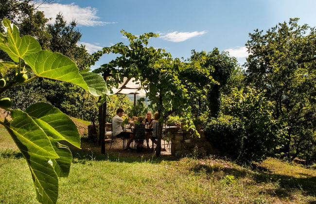 Agriturismo Azienda Agricola il Pozzo - Foto 51
