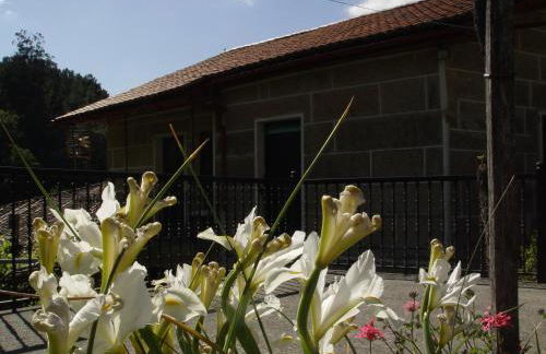 Casa en Viñoas (Ribeira Sacra) - Foto 21