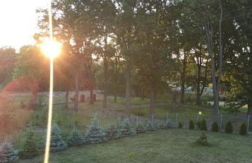 Agroturystyka Pokój na Skarpie - Foto 22