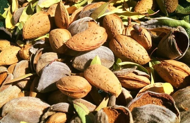 Quinta da Pereira - Foto 21