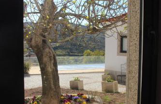 Casas do Aidro - Foto 41