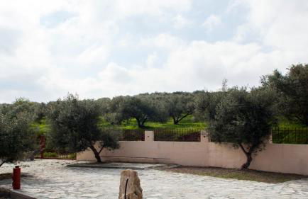 Fοivos and Athina Villas - Foto 11