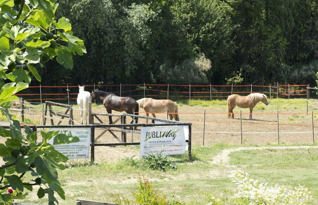 Agriturismo Case Mori - Foto 29