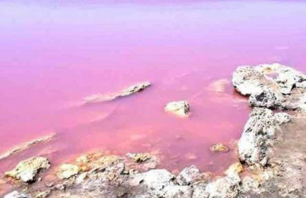 Lomas del Golf, Villamartin maison - Foto 65