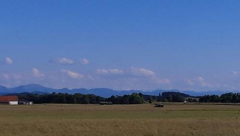 In den Wiesen - Foto 3