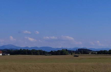 In den Wiesen - Foto 3