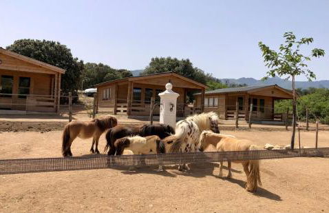 Les Chalets de Tesa - Foto 22