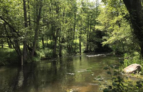 Dom Mossa - Photo 44