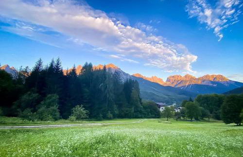 Residence Dolomiti - Foto 41