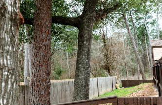 Rest Easy Retreat - 2BR Near SHSU - Pool - WiFi - Free Parking - Foto 13