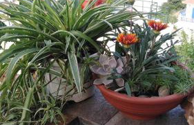 Raptis House - Foto 5