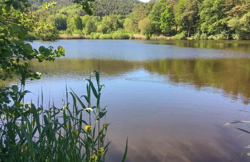 Unter den Reben - Foto 27