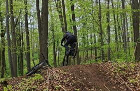 Aloha Annaberg - Foto 40