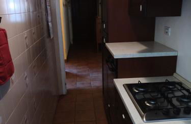 Gli Aristogatti - Foto 12