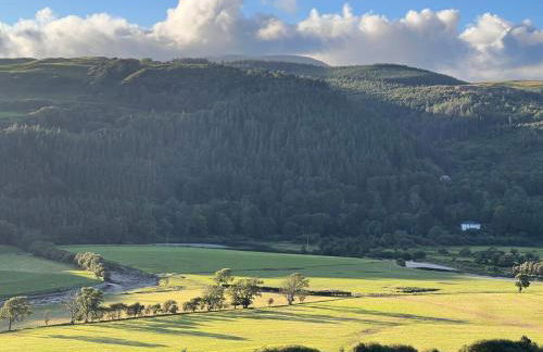 Penestaer - Photo 35