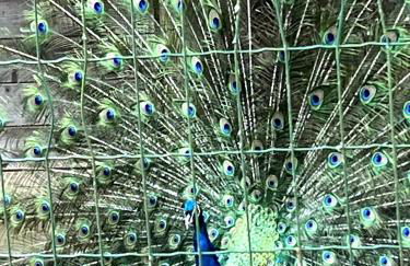 Cabane de Mardil - Foto 17