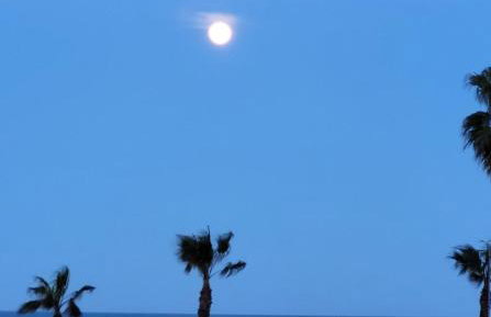 Apartamento 50m de la playa- Wifi-Aire acondicionado - Foto 4