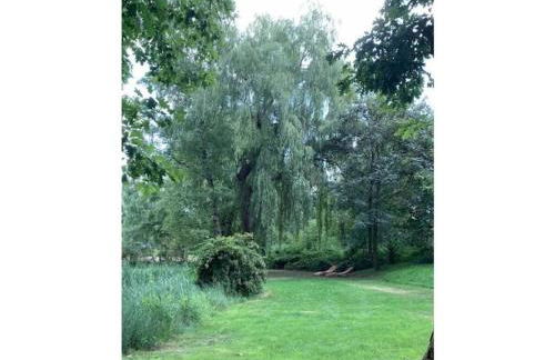 "Oldau's Little Nest" - Foto 33