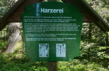 FeWo Schwarzwald von oben - Kniebis - Foto 30