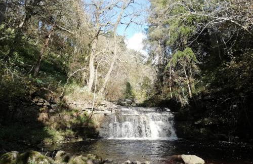 Bonny Bits Cottage - Foto 38