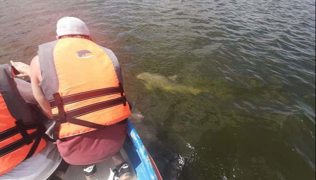 Trip to Puerto El Morro with Dolphin Watching - Foto 5