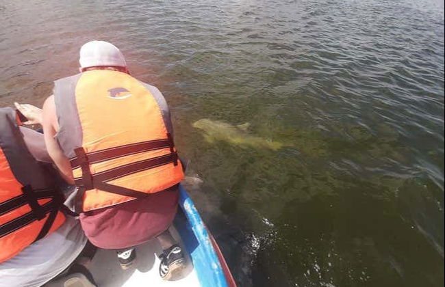 Trip to Puerto El Morro with Dolphin Watching - Foto 5