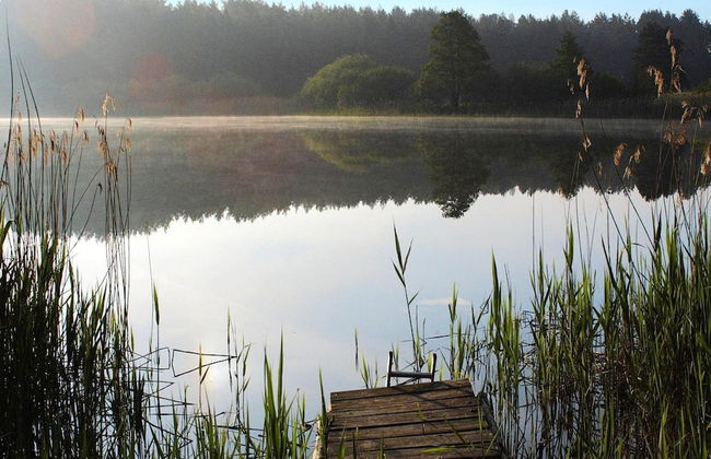 Ferienhaus am Garder See Inselblick - Foto 47