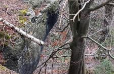 Ferienhaus Töpferblick-Hartau - Foto 57