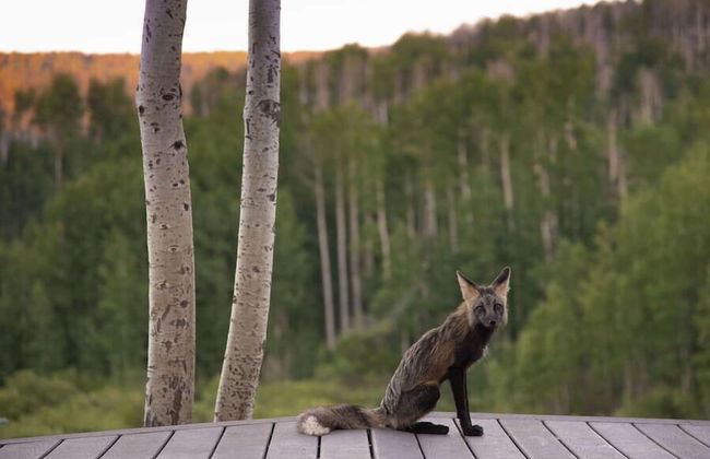 EML 6 Hidey-Hole - Foto 28