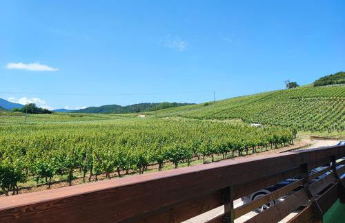 L'Altenberg - Foto 1