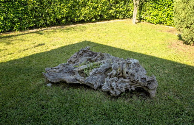 Belvilla by OYO Montebello Mono C - Foto 29