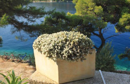 Apartments by the sea Ubli, Lastovo - 8344 - Foto 8