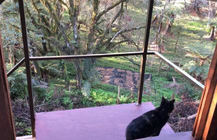 Chalé com Vista para Vinhedo e Natureza - Foto 40